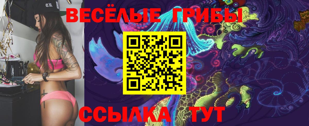 Магнитогорск  Галлюциногенные грибы Cubensis  Вход с VPN 